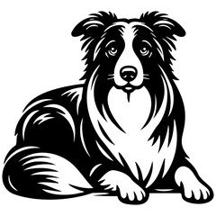 Border Collie Dog Illustration.
