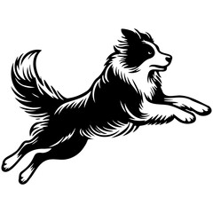 Border Collie Dog Illustration.
