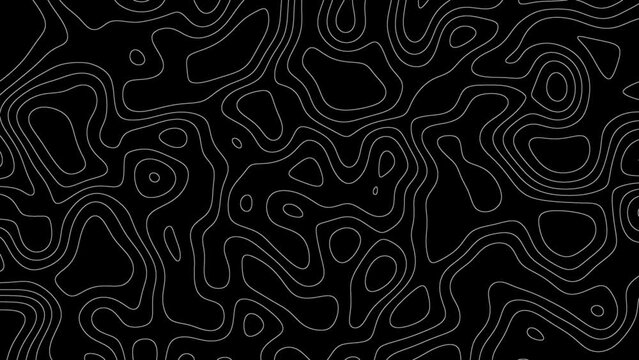 Gray outline topographic contour map abstract tech motion graphic design. Geometric background. Video animation Ultra HD 4K 3840x2160.Abstract animated outline topographic contour map. TECHNOLOGY