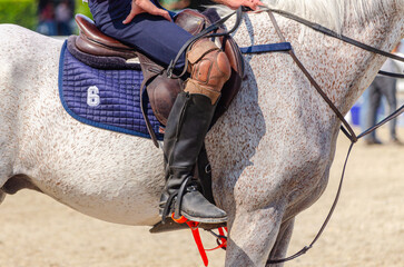 rider on his horse in a horse ball game, equestrian sports concept