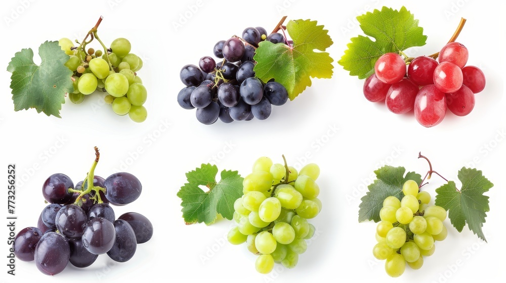 Aufkleber a white background is adorned with different types of ripe grapes