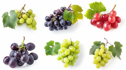 A white background is adorned with different types of ripe grapes - obrazy, fototapety, plakaty