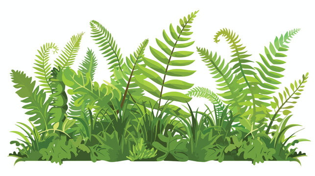 Fishing cartoon natural green fern in the forest flat
