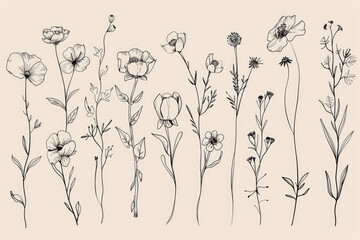 A series of black and white drawings of flowers. The flowers are arranged in a line, with some overlapping each other. Scene is serene and peaceful, as the flowers are depicted in a simple