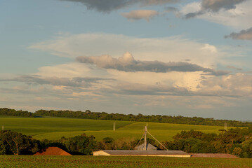 Soybean cultivation fields in Rio Grande do Sul, Brazil.