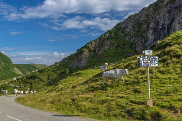 Landscape near Col d'Agnes, Department of Ariege, Pyrenees, France - 773267657