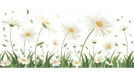 Illustration of camomile with tearoff petals vector