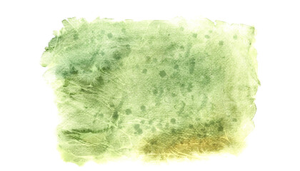 Green abstract texture isolated on white. Marsh color. Strokes of paint. Brushed painted background. Aquarelle splash. Watercolor illustration for card, greeting backgrounds