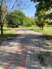 path in the park