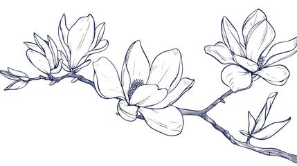 Vector outline silhouette of hand drawn magnolia flow