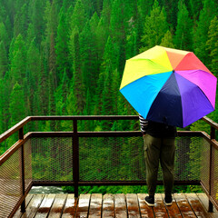 Person Standing in Rain with Rainbow Umbrella on Platform Looking at River Waterfall Pine Forest