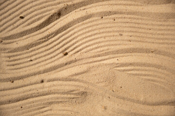 Sand on the beach texture close up