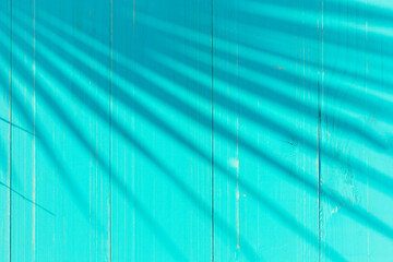 Turquoise surface on wooden boards with palm tree shadow for copy space. Summer vacation concept
