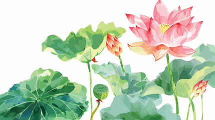 Watercolor lotus flower on white background flat vector