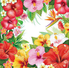 Border from hibiscus flowers - 773282894