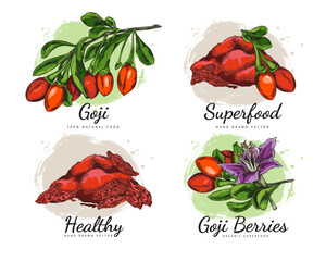 Set of hand drawn fresh and dry goji berries sketch style