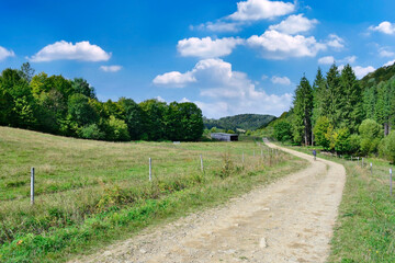 Rural summer landscape in Low Beskids (Beskid Niski), Poland - obrazy, fototapety, plakaty