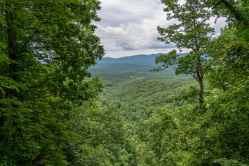 Looking out Towards The Lush Valley Below from the Top of Amicalola Falls in Georgia