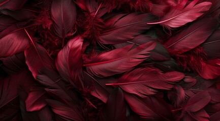   A backdrop of scattered red feathers for an ethereal fairy tale-inspired background or wallpaper - obrazy, fototapety, plakaty