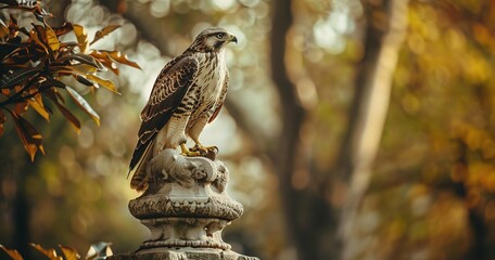 Hawk perched on a city park statue, majestic and watchful.  - obrazy, fototapety, plakaty