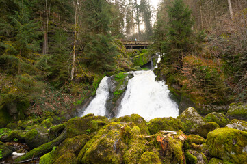 Triberg waterfall in the Black Forest, highest fall in  Germany,  Gutach river plunges over seven...
