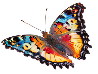 The captivating beauty of a butterfly s multicolored wings on isolated with transparent concept