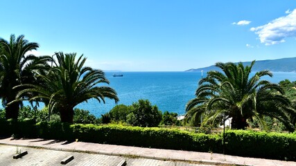 Panoramic view on the Marmara sea from a hill through date palm trees in summer, Turkey