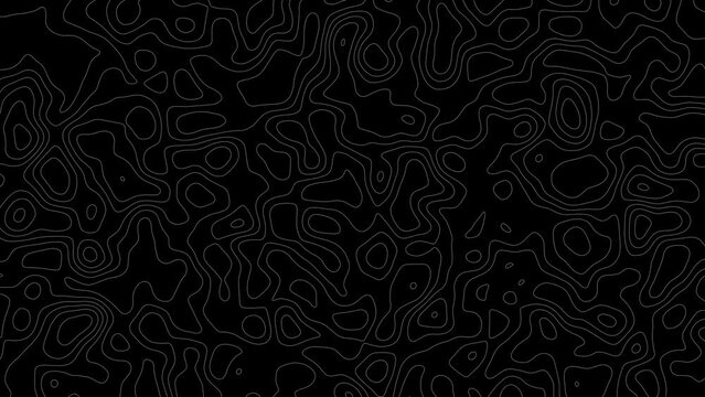 Gray outline topographic contour map abstract tech motion graphic design. Geometric background. Video animation Ultra HD 4K 3840x2160.Abstract animated outline topographic contour map. TECHNOLOGY