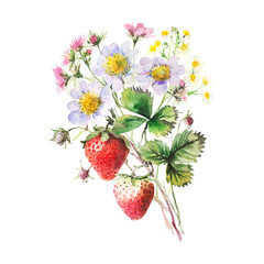 Watercolor illustration of strawberry isolated on white background.