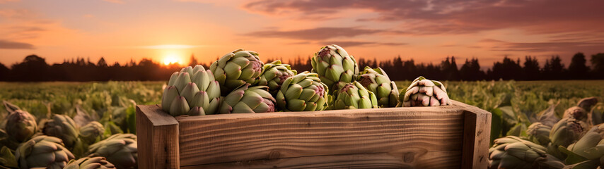 Artichokes harvested in a wooden box in artichoke field with sunset. Natural organic vegetable abundance. Agriculture, healthy and natural food concept. - 773307475