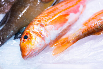 Pescado en el hielo, parada de pescadería en el mercado - obrazy, fototapety, plakaty