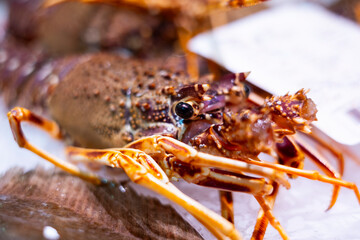 Langosta, pescadería del supermercado