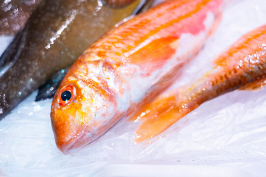 Pescado En El Hielo, Parada De Pescadería En El Mercado