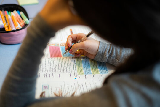 Hora de los deberes. Haciendo deberes en casa. 