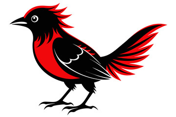  silhouette color image, Evie  bird ,vector illustration,white background 