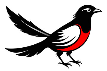  silhouette color image, Evie  bird ,vector illustration,white background 