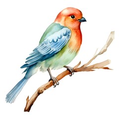 Colorful Watercolor Bird on Wooden Branch