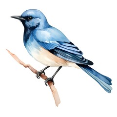 Vibrant Blue Jay Watercolor Illustration