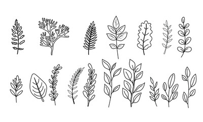 Collection of hand-drawn sketches featuring a variety of wildflowers and plant life