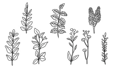 set of doodles of flower plants template