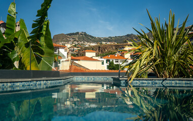 Obraz premium Big potted plants by a blue pool in a backyard: Madeira island