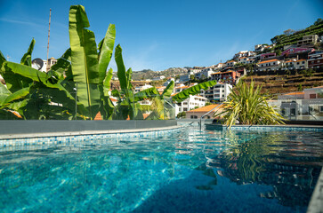 View of a tranquil blue pool surrounded by lush green trees: Madeira island