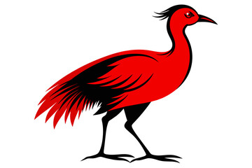  silhouette color image,Cleo bird ,vector illustration,white background 