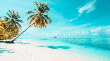 Beautiful tropical Maldives island with beach , sea , and coconut palm tree on blue sky for nature holiday vacation background concept