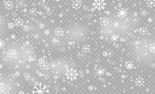 Christmas snow flake pattern. Snowfall, snowflakes in different shapes and forms. Many white cold flakes elements on transparent background. Magic white snowfall texture.