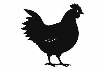 Hen black silhouette vector with white background.