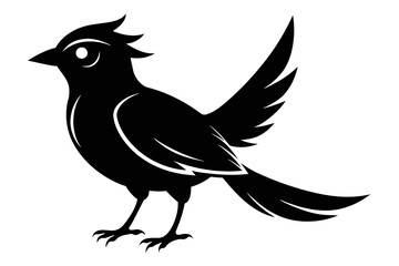  silhouette color image,Coco bird ,vector illustration,white background