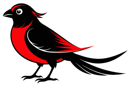  silhouette color image,Coco bird ,vector illustration,white background