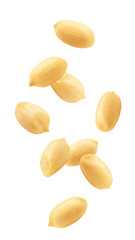 Falling peanut isolated on white background, full depth of field