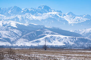 Mystical beautiful winter landscape. Old corn field and high snowy mountains. Landscape not far...